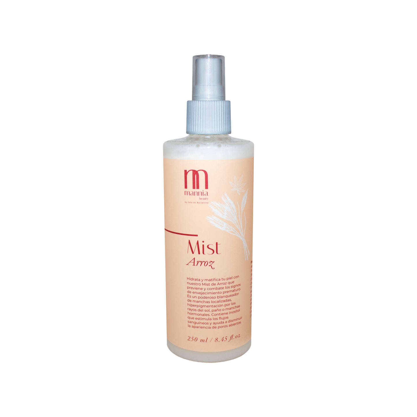 Mist Arroz