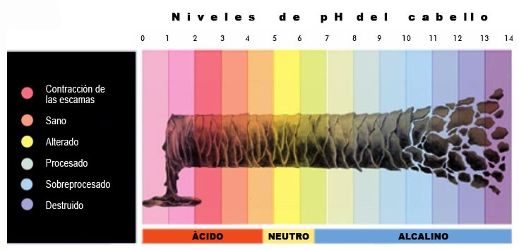 El pH del Cabello